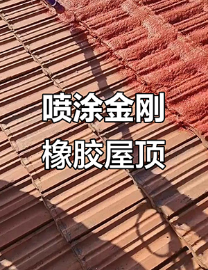 金刚橡胶屋顶6.jpg
