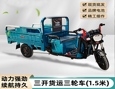 电动三轮车拉货家用.png